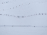 Fences in the Snow I