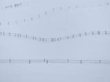 Fences in the Snow I