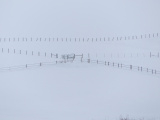 Fences in the Snow II