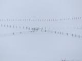 Fences in the Snow II