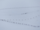 Fences in the Snow III