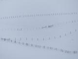 Fences in the Snow III