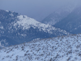 Snow on the Mountains