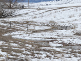 Winding Stream in Winter