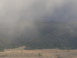 Base of the Bitterroots in Mist