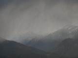 Bitterroots in Gray Clouds