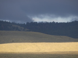 Sunbeam on the Hills