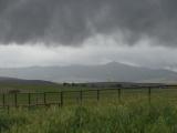 Gray Clouds at the Start of Summer