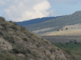 Shades of the Hillside
