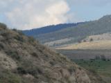 Shades of the Hillside