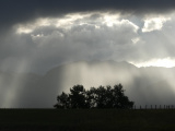 Sunbeam behind the Trees