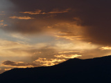 Orange Highlights at Sunset