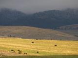 First Dusting of Snow on the Hills