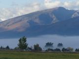 Trees and Homes in Valley Fog