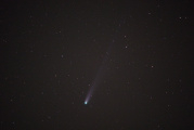 Green Coma of Comet Lemmon