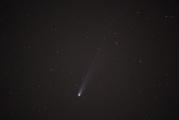 Green Coma of Comet Lemmon