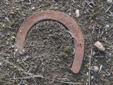 Horseshoe