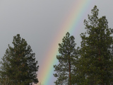 Winter Rainbow