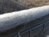 Hoarfrost on a Winter Morning