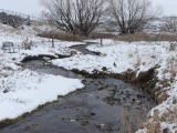 Weaving Winter Stream