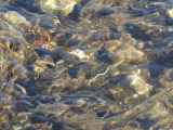 Ripples in the Stream