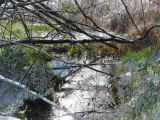 Snow, Grass, Wood and Water