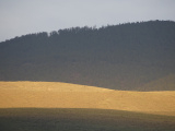 Sunlight on One Hill