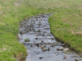 Stream Coming into View