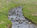 Stream Coming into View
