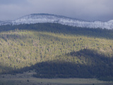 Sunbeam on Green Hills