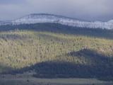 Sunbeam on Green Hills
