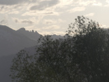 Silhouette of Willow and Mountain