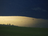 Glowing Hill