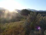 Sunlight on Meadow and Sagebrush