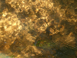 Golden Light on Stream Ripples