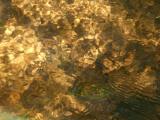 Golden Light on Stream Ripples