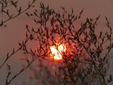 Red Light on Seeds