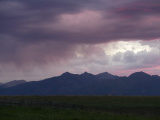 Lavender Clouds