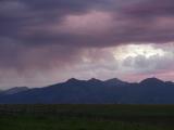 Lavender Clouds