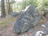 Boulder among Needles