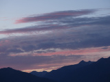 Shades of Purple