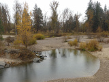 October Landscape at Bell Crossing