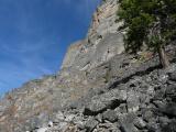 Tree in Talus