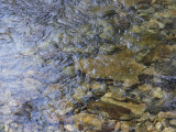 Reflection and Transparency