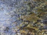 Reflection and Transparency