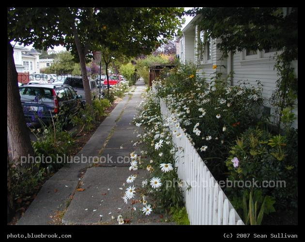 Berkeley Yards - View down a sidewalk in Berkeley CA