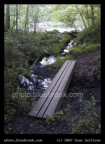 Wooded Crossing - A wood board provides crossing over a stream along a Massachusetts wooded trail