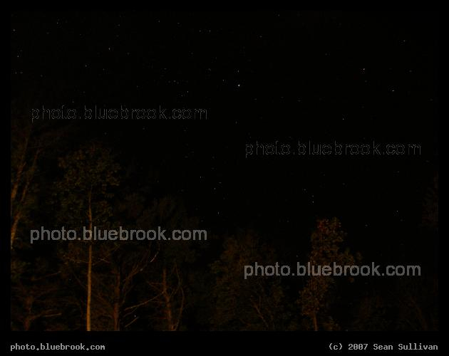 Lyra Among the Trees - The constellation Lyra, including the bright star Vega, and nearby portions of the night sky, setting in October from western Massachusetts