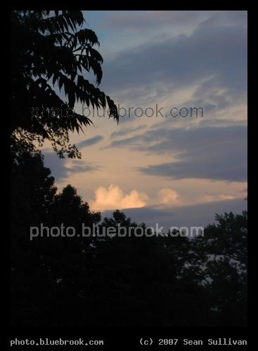 Evening Silhouette - A silhouette of trees against an evening sky near Princeton NJ