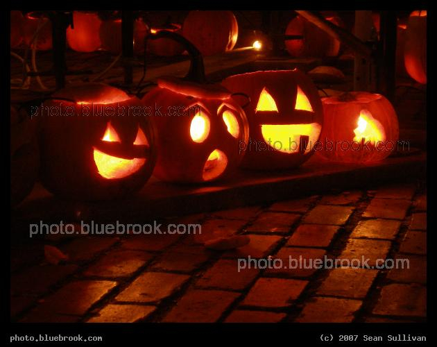 Shocked Jack-O-Lantern - Halloween pumpkins on display at City Hall Plaza in Boston MA